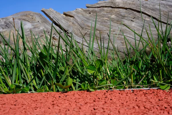 Day 1 - Getting comfortable